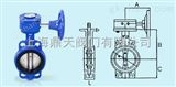 中国台湾荣牌铸铁涡轮蝶阀