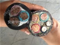 霓虹燈電線電纜