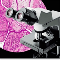 OLYMPUS 生物顯微鏡